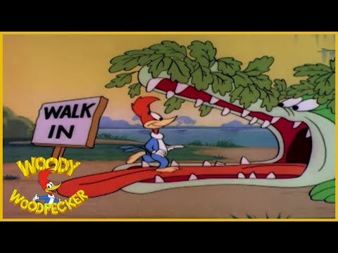 Woody Woodpecker |