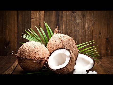 Орех кокосовый   | Как его выращивают