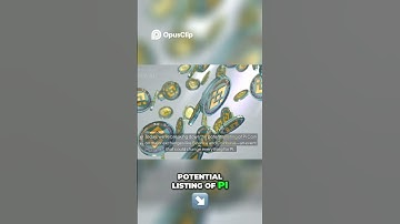 Countdown to Pi Network’s Major Exchange Listing – How Open Mainnet Could Spark a Revolution for PI