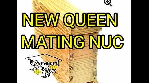 New 2 Frame Queen Mating Nuc