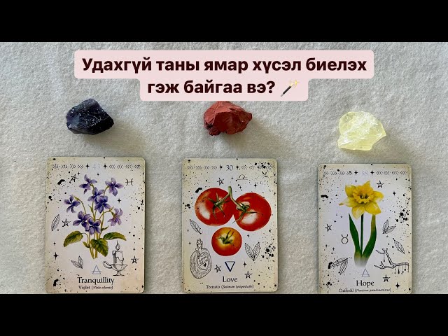 Удахгүй таны ямар хүсэл биелэх вэ? 🪄 | Тарот мэргэ 🔮 class=