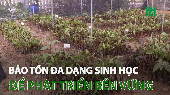 Suy thoái đa dạng sinh học là gì năm 2024