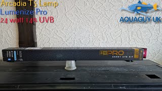 Arcadia LumenIZE Pro T5 UVB Kit turtle light