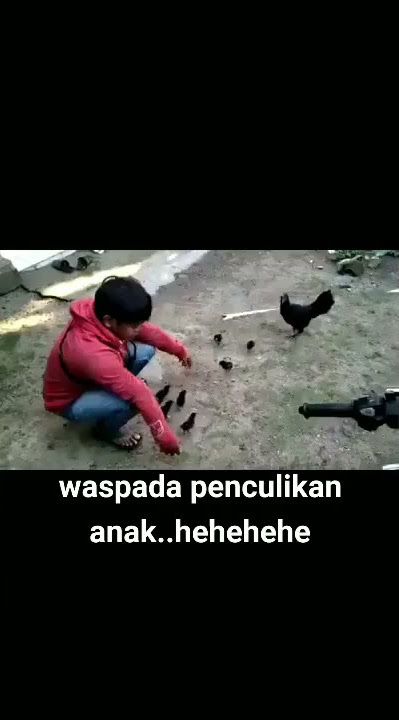 Penculikan anak ayam