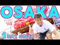 Osaka travel guide  one day plan for beginners