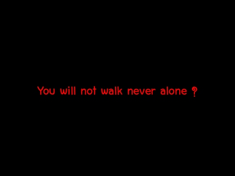 You will not walk never alone  แปลว่าอะไร ?