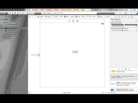 iOS Programming Xcode
