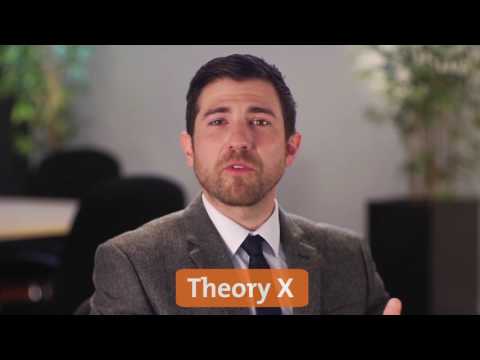 Motivating People Using Theory X and Theory Y
