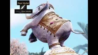 Black Desert - Fishing Pearl Mullet (Koi) Efficiently (Event Guide) @Toef
