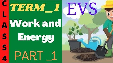 Class 4 EVS | Term 1 Work and Energy | PART_ 1 |