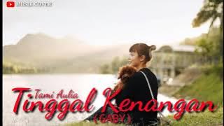 TAMI AULIA || GABY - TINGGAL KENANGAN (MUSIK LIRIK)