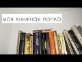 книжная полка, книга о бактериях I влогмас день 19