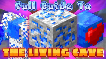 The Complete Guide To The Living Cave (Hypixel SkyBlock Rift)