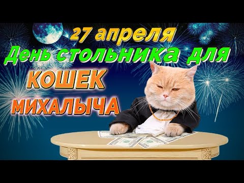 Видео: 27 апреля День стольника для КОШЕК МИХАЛЫЧА.