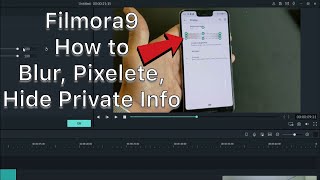 Filmora 9: How to Blur/Pixelete/Hide Personal info, Passwords, Emails, License Plates, Objects etc