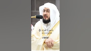 فلولا اذا بلغت الحلقوم_سورة الواقعة_ تلاوة مرئية من صلاة الفجر 12 ربيع الأول 1446هـ_الشيخ بندر بليلة