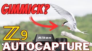 Nikon Z9 - New AutoCapture Feature Tested ! Gimmick or Useful Tool? Firmware 4.0 Update