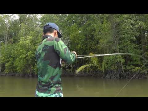 Topwater Papuan Black Bass Fishing with Gong Lei Part-4