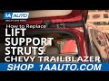 How to Replace Lift Support Struts 2002-09 Chevy Trailblazer
