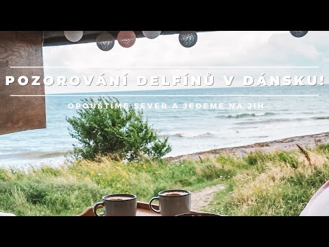 Video: Detská Lekárnička Na Cestách