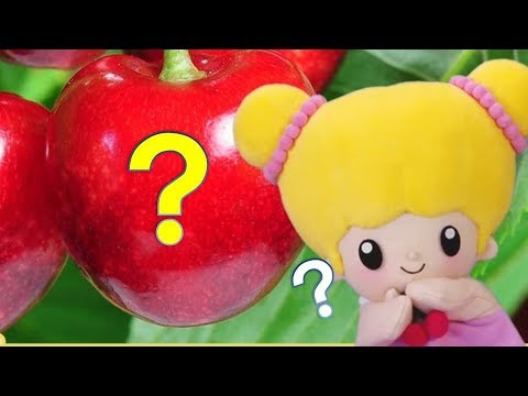 こえだちゃんねる これなーに？編【タカラトミーキッズ】 親子で楽しくあんしん | ファミリー | おはなし | 公式 | タカラトミー公式