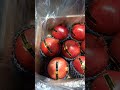 гранаты свежий Китайский.