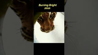 Burning Bright 2010 #short #horror #thriller