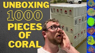 Unboxing 1000 hand-picked ultra corals!