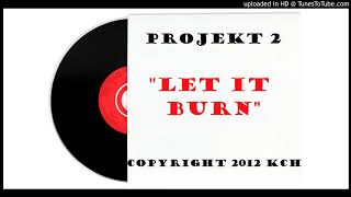 projekt 2 - "Let It Burn"