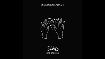 سورة القصص (ايه 68-70) القارئ #عمر_الدريويز