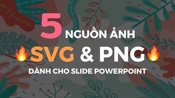5 Nguồn ảnh SVG & PNG tốt nhất cho thiết kế Slide PowerPoint | Bạn đã biết chưa?