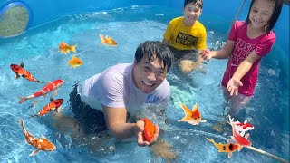 BERENANG BARENG IKAN DI KOLAM RENANG BARU !! LUCAS MALAS JADI TAKUT