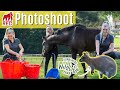 Photoshoot Behind The Scenes - With Red Gorilla At Yorkshire Wildlife Park | Lilpetchannel