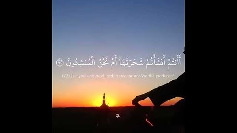 أفرأيتم الماء الذي تشربون سورة الواقعه