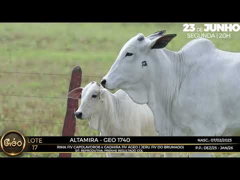 LOTE 17   ALTAMIRA   GEO 1740