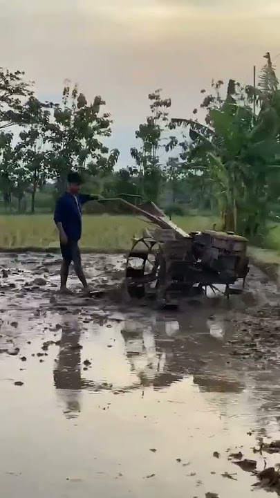 ngebut #traktor #sawah #pertanian #viral #smartfarming #feedshorts #shorts
