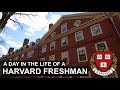 A Day in the Life of a Harvard Freshman