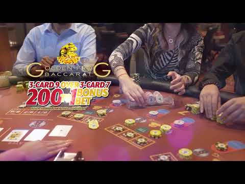 Excitement is in the cards at Bay 101 Casino!