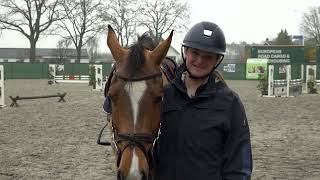 Paardenhouder In Panningen Blijkt Illegaal En Moet Weg Je Verwacht Het Niet