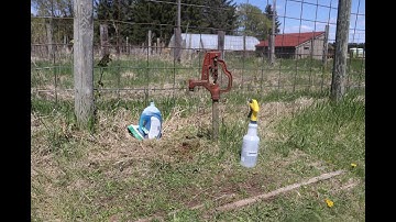 Cleaning and sanitizing for COVID-19 on your farm