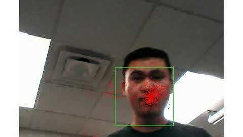 Single Face Tracking Using Particle Filtering