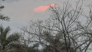 Gardenview And Misc. Is Live