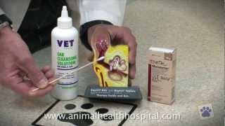 Animal Health Hospital: How To Clean Your Pet's Ears.