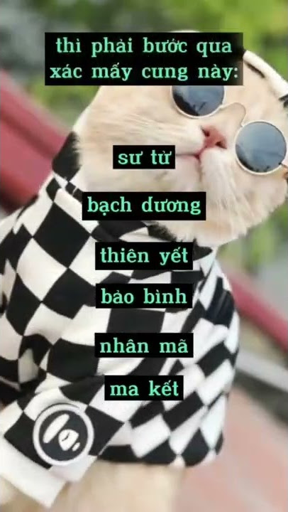 Bí Mật 12 cung hoàng đạo