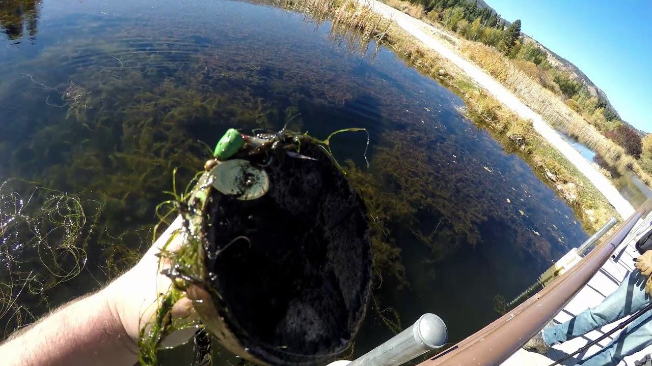 fishing Verdi Nevada YouTube