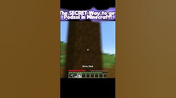 The SECRET way to obtain Podzol in Minecraft! #shorts #minecraft