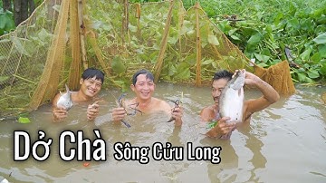 Dở Chà Bắt Cá Chạch Lấu Khủng ven Sông Mê Kông | Nét Quê #248