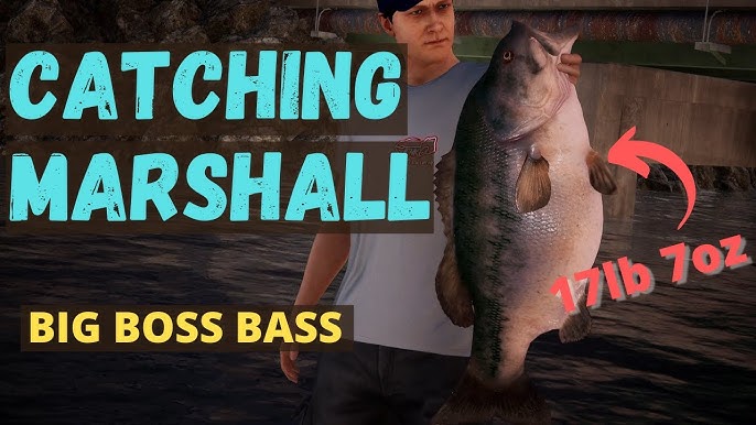 Bass Pro Shops Fishing Sim World Video Game for PlayStation 4