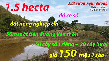 1,5 hecta đất nông nghiệp tại Đại tẻ lâm đồng có vườn 50 cây sầu riêng 20 cây bưởi  giá 1,9 tỷ