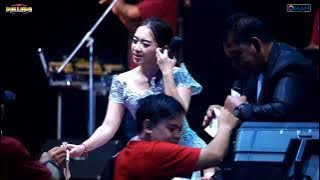 TERLALU SAYANG - RENA MOVIES - NEW PALLAPA live BROTHERHOODS 2023